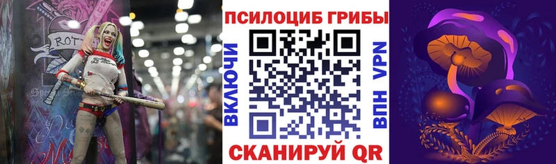 OMG ссылки  магазин  наркотиков  Нижняя Тура  Псилоцибиновые грибы ЛСД 